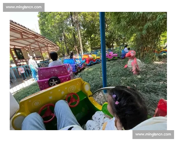 校园欢乐时光：同学们荡秋千比赛比拼趣味瞬间